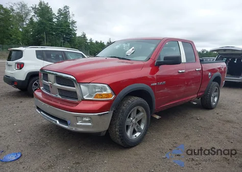 2010 Dodge Ram 1500 Slt/Sport/Trx z USA, uszkodzony, nr VIN 1D7RV1GT2AS114415